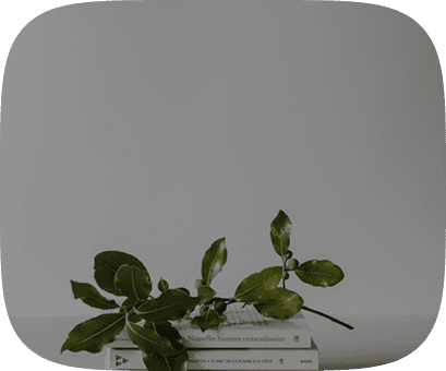 كيف تبدأ رحلتك التعليمية